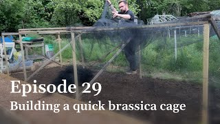 Building a quick brassica cage  How we built a cage very quickly  E29 allotment allotmentuk [upl. by Capone]