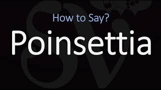 How to Pronounce Poinsettia CORRECTLY [upl. by Veradis]