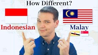 How Different Are Indonesian and Malay [upl. by Gaut475]