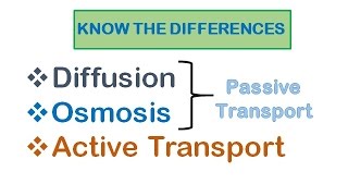 Cell Transport Diffusion osmosis active transport [upl. by Pronty187]