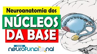 NÚCLEOS DA BASE Neuroanatomia Funcional Aula Completa [upl. by Immas782]