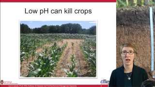 Soil Acidity and Liming Ag Nutrient Management [upl. by Nwotna912]