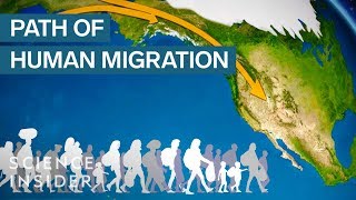 Map Shows How Humans Migrated Across The Globe [upl. by Ailaro]