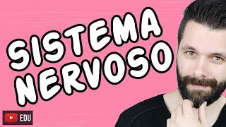 SISTEMA NERVOSO  FISIOLOGIA  Aula  Biologia com Samuel Cunha [upl. by Twelve]