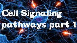 Cell Signaling Pathways part 1 [upl. by Henryk]