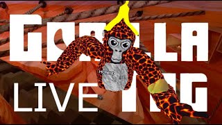 gorilla tag live  almost 400 [upl. by Rhines454]