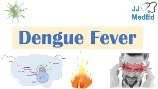 Dengue Fever  Pathophysiology Symptoms Diagnosis amp Treatment [upl. by Eudosia]