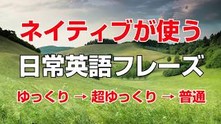 ネイティブが使う日常英語フレーズ集 聞き流し英会話 [upl. by Eisso362]