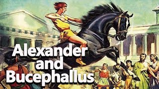 Alexander and Bucephallus The Black Stallion  Alexander the Great Ep03  See U in History [upl. by Dnalevets]