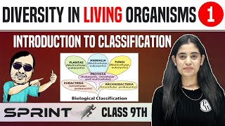 Diversity in Living Organisms 01  Introduction to Classification  Class 9  NCERT  Sprint [upl. by Learsiy772]