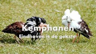 Kemphanen  Eindhoven is de gekste [upl. by Siuqaj]