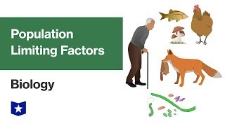 Population Limiting Factors  Biology [upl. by Bianca819]