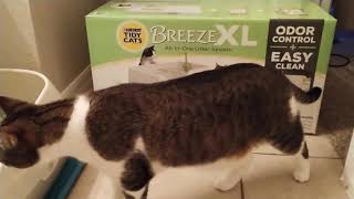 Tidy Cats Breeze XL litter system initial review [upl. by Ludovick]