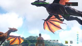 PS4 ARK 生放送！アイランドでボスキャラ・ドラゴンのコマンド召喚お試し！で申し訳ございません！ [upl. by Afinom]