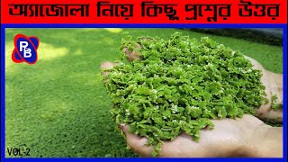 অ্যাজোলা নিয়ে কিছু প্রশ্নের উত্তর  Answers to some questions about Azolla  azolla  re birth [upl. by Fasta]