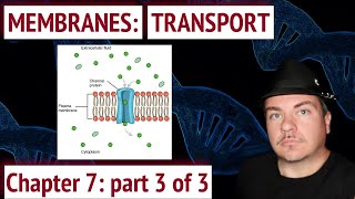 Cell Membranes Transport Across a Membrane [upl. by Anairad]