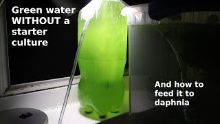 Green Water WITHOUT a Starter Culture  From Scratch  How To [upl. by Noswal597]