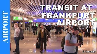 TRANSIT WALK AT FRANKFURT Airport FRA Terminal 1  Connection Flight Transfer Arriving amp Departing [upl. by Sergeant]