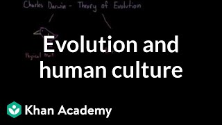 Evolution and human culture  Society and Culture  MCAT  Khan Academy [upl. by Ayisan]